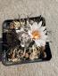 Preview: Turbinicarpus macrochele